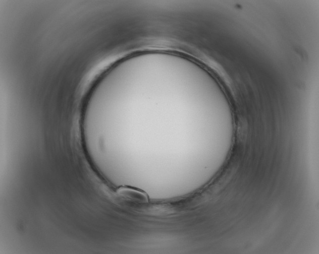 X0000113341464200910131208