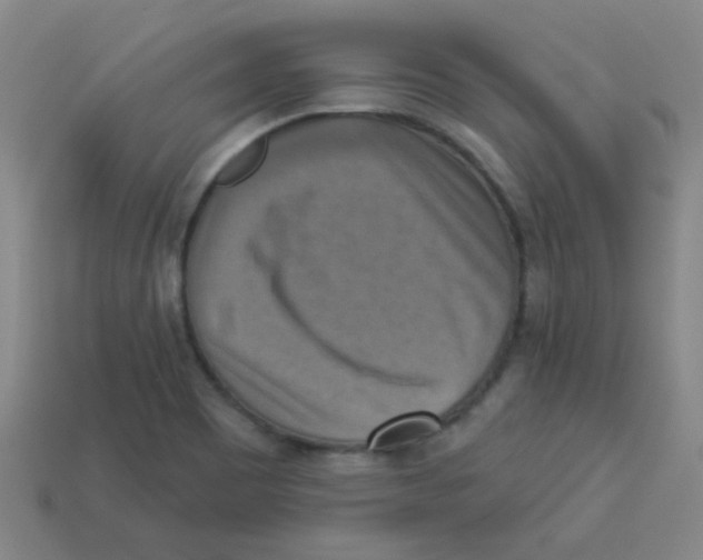 X0000113341465200910131208