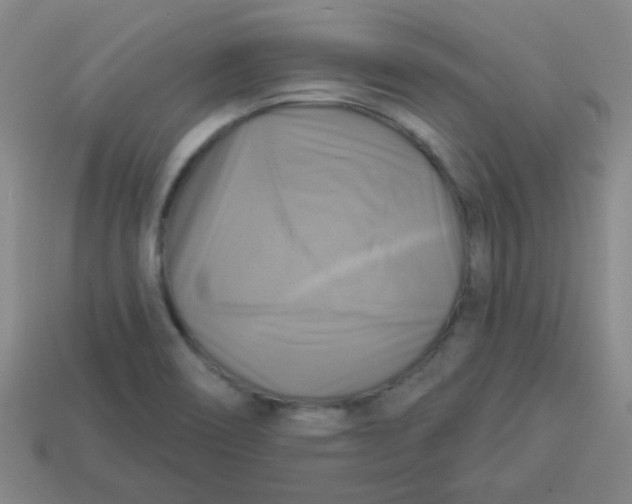 X0000113341466200910131208