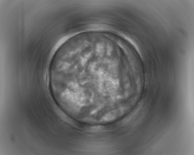 X0000113341467200910131208