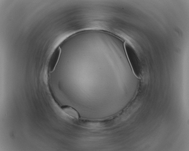 X0000113341468200910131208
