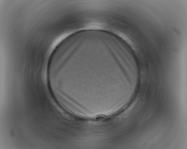 X0000113341469200910131208