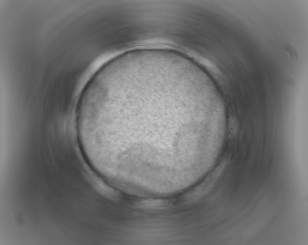 X0000113341470200910131208