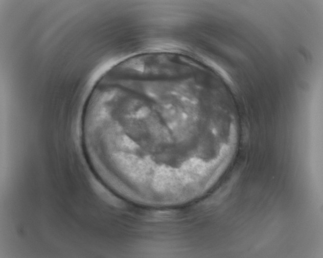 X0000113341471200910131208