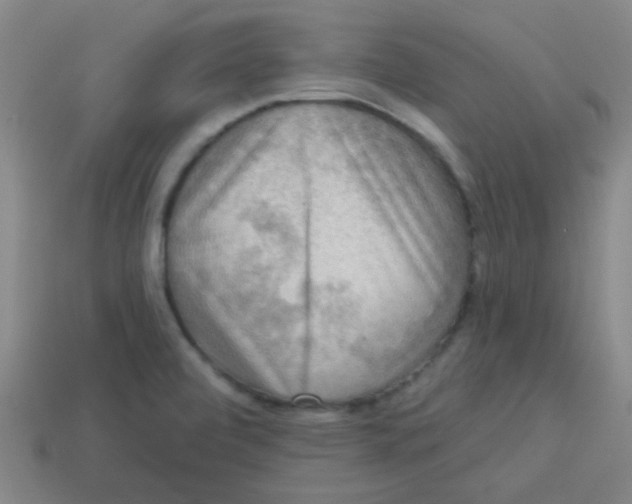 X0000113341472200910131208