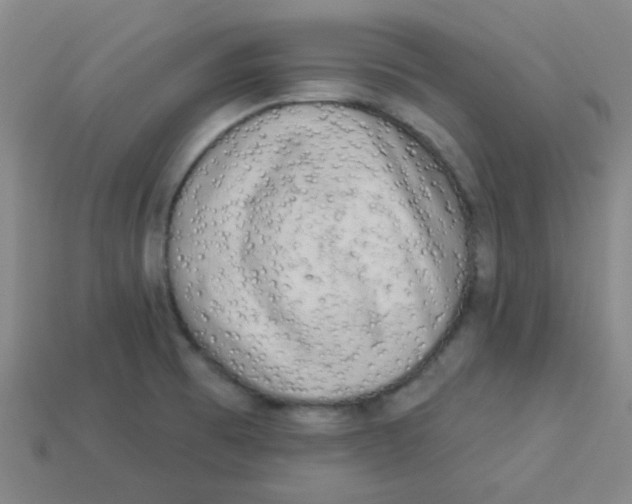 X0000113341473200910131208