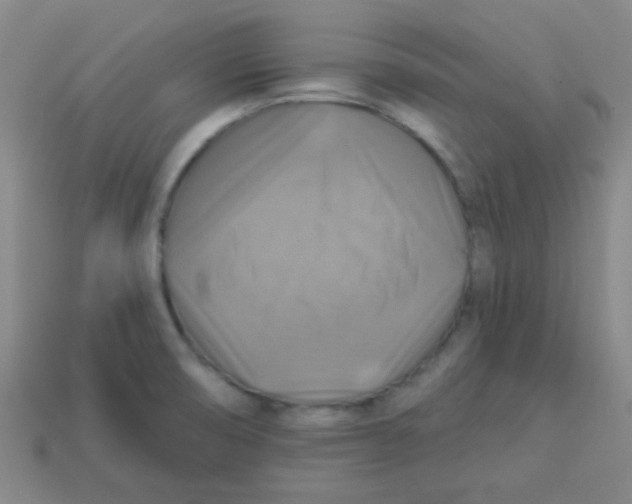 X0000113341474200910131208