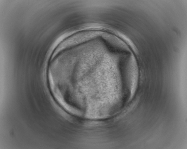 X0000113341475200910131208