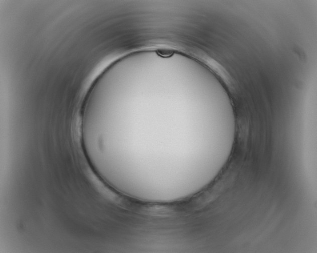 X0000113341476200910131208