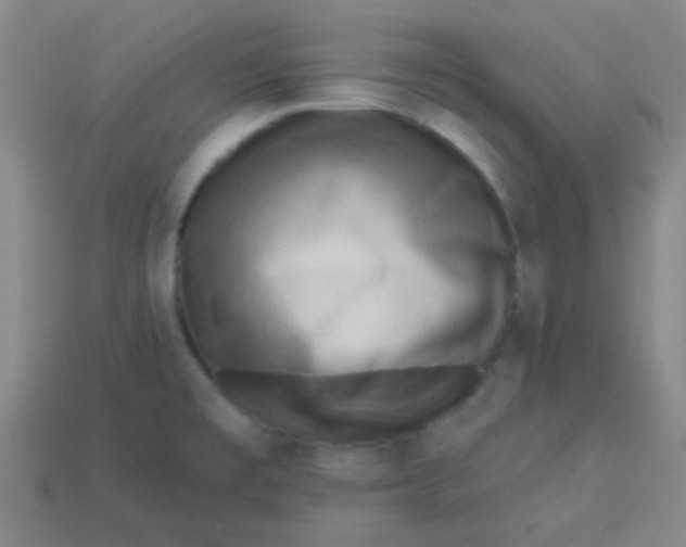 X0000113341477200910131208