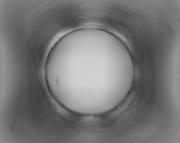 X0000113341478200910131208