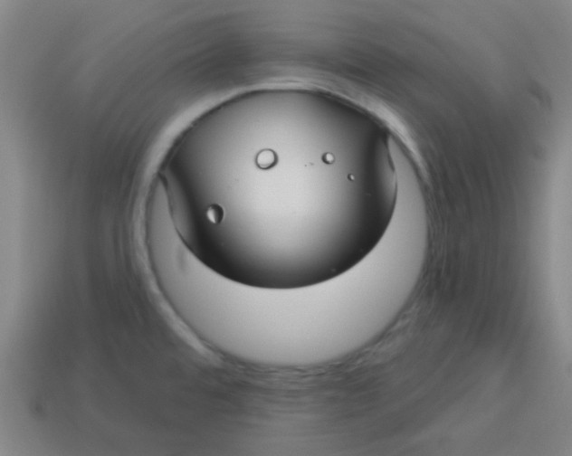 X0000113341480200910131208