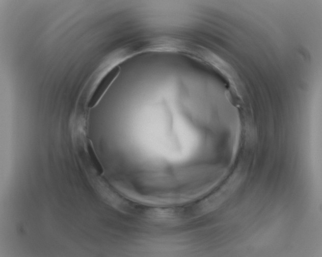 X0000113341481200910131208