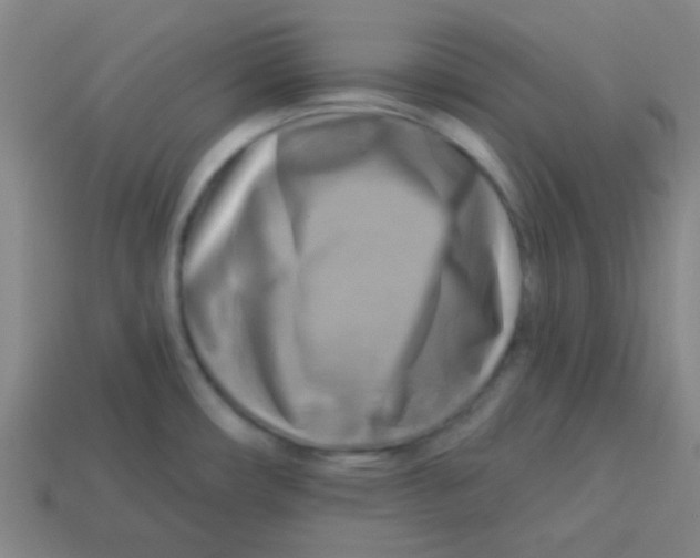 X0000113341482200910131208