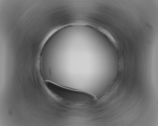 X0000113341484200910131208