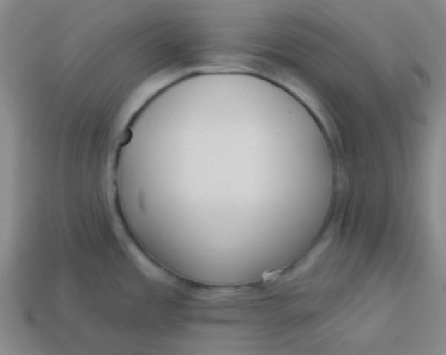 X0000113341485200910131208