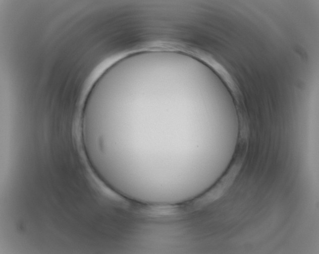 X0000113341486200910131208