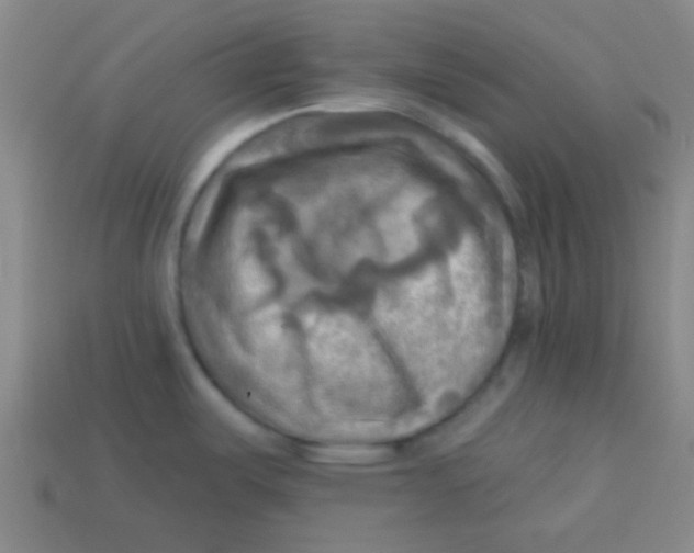 X0000113341487200910131208