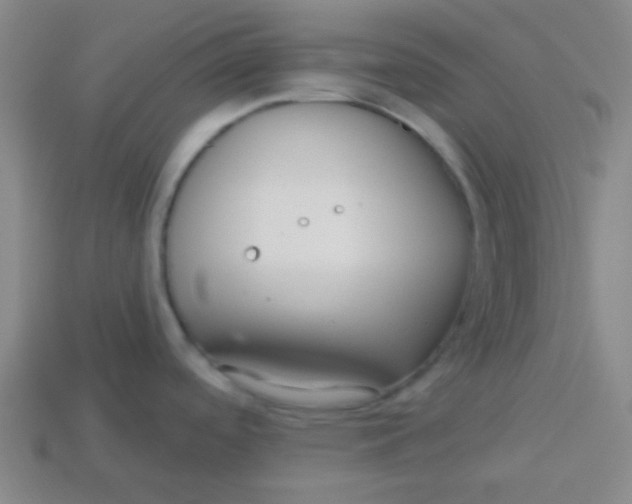 X0000113341488200910131208