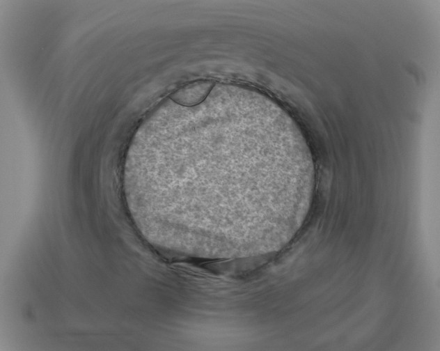 X0000113341489200910131207