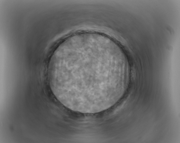 X0000113341494200910131207