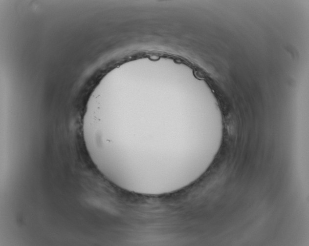 X0000113341495200910131207