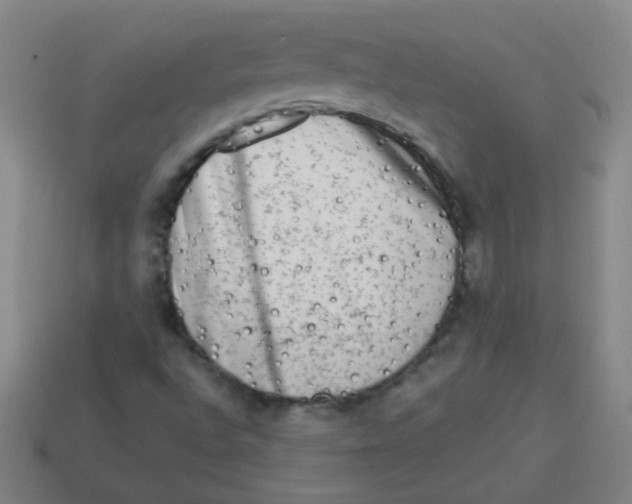 X0000113341496200910131207