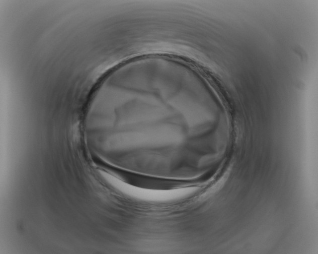 X0000113341497200910131207