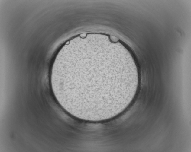 X0000113341498200910131207