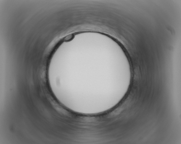 X0000113341499200910131207