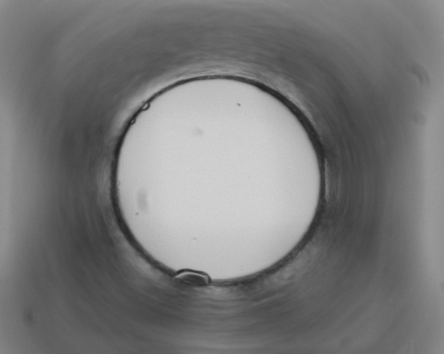X0000113341500200910131207