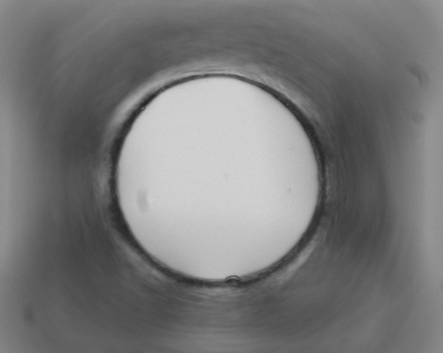 X0000113341502200910131207