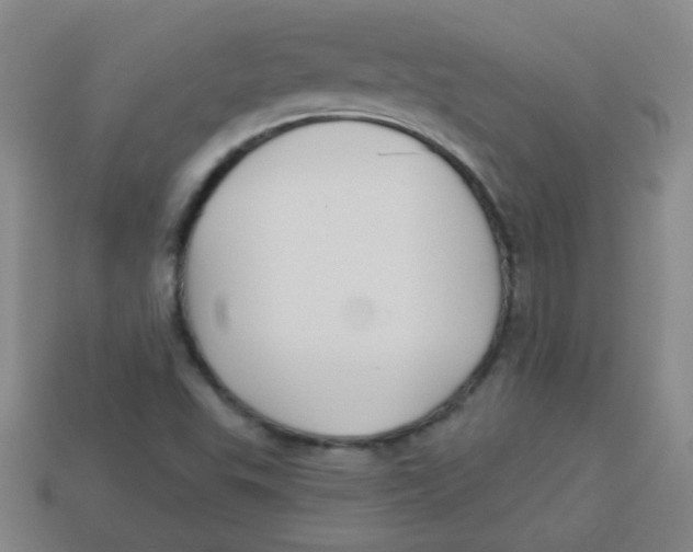 X0000113341503200910131207