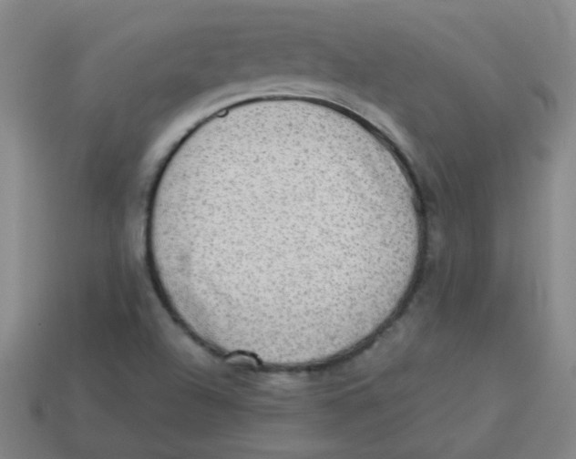X0000113341504200910131207