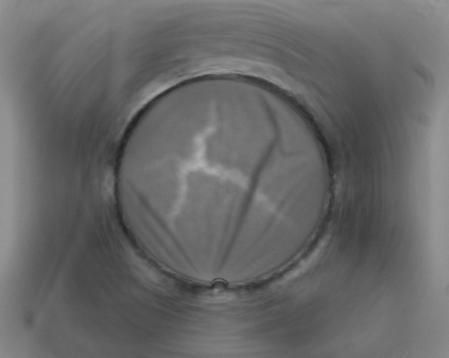 X0000113341505200910131207