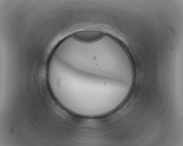X0000113341506200910131207