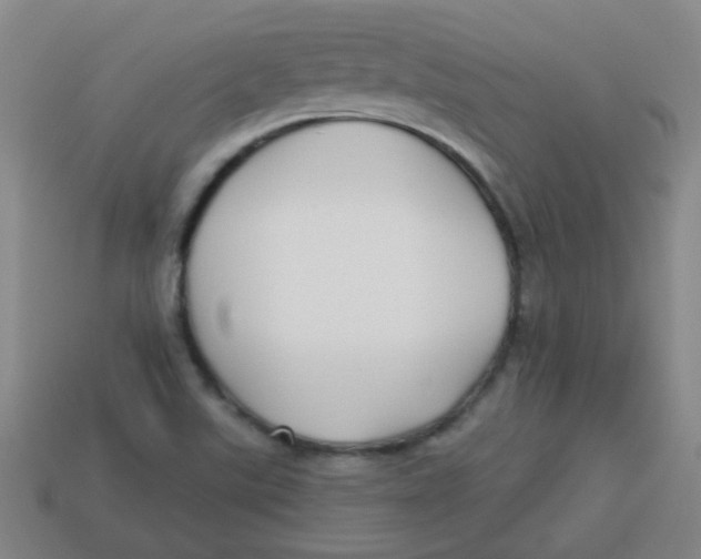X0000113341507200910131207