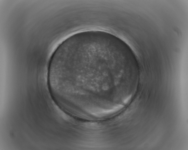 X0000113341508200910131207