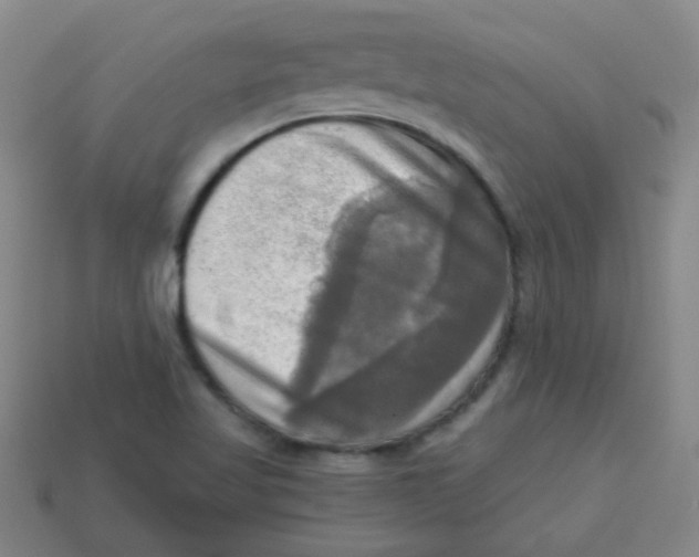X0000113341509200910131207