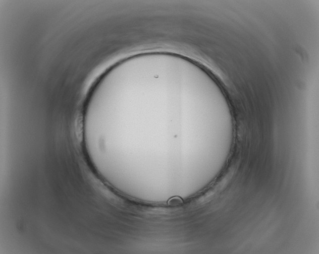 X0000113341510200910131207