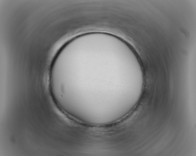 X0000113341511200910131207
