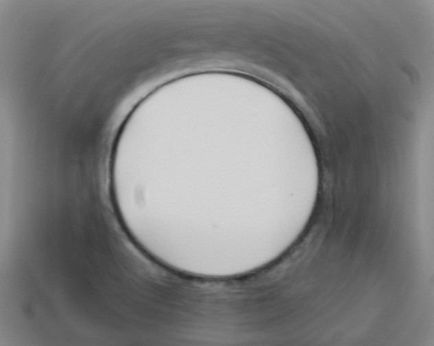 X0000113341512200910131207