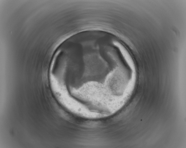 X0000113341513200910131207