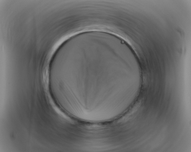 X0000113341515200910131207