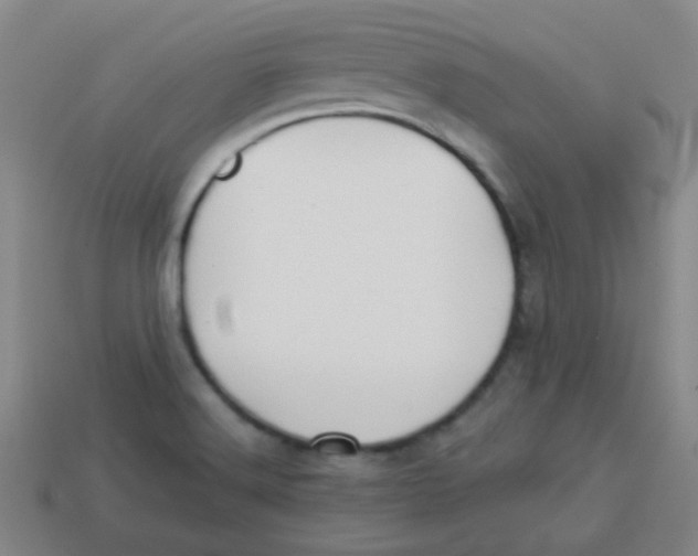 X0000113341516200910131207