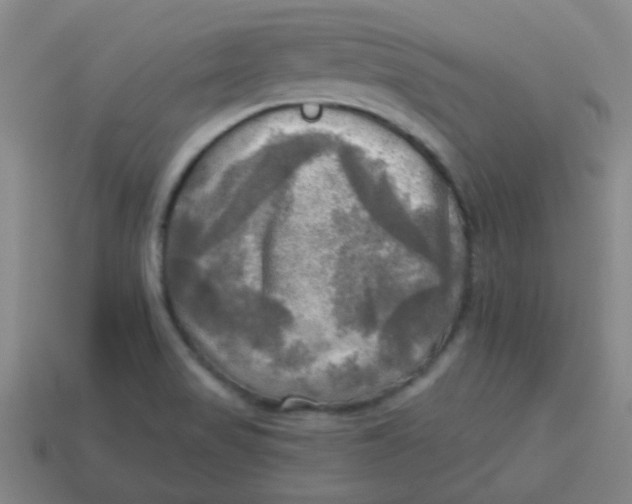 X0000113341517200910131207