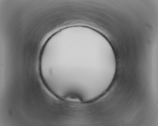 X0000113341518200910131207