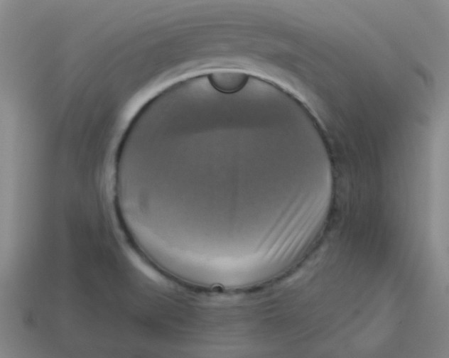 X0000113341519200910131207