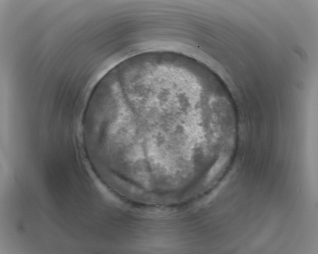 X0000113341521200910131207