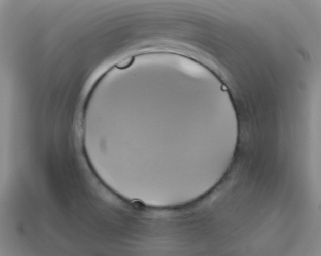 X0000113341522200910131207